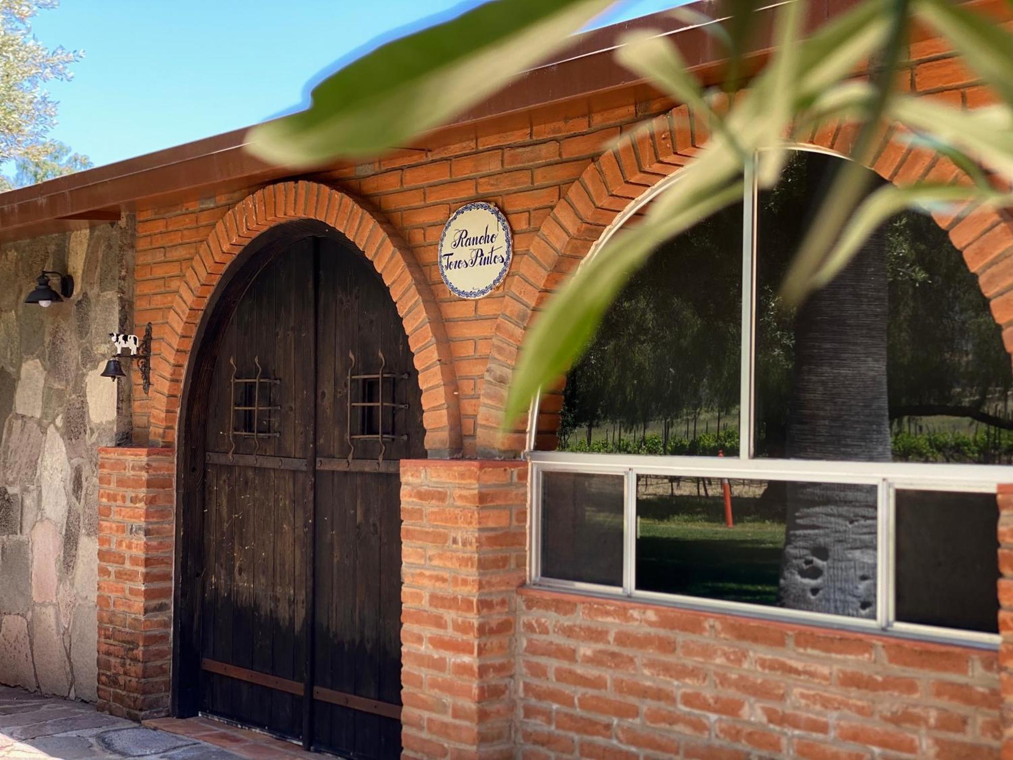 Villa Toros Pintos Valle de Guadalupe Exterior foto