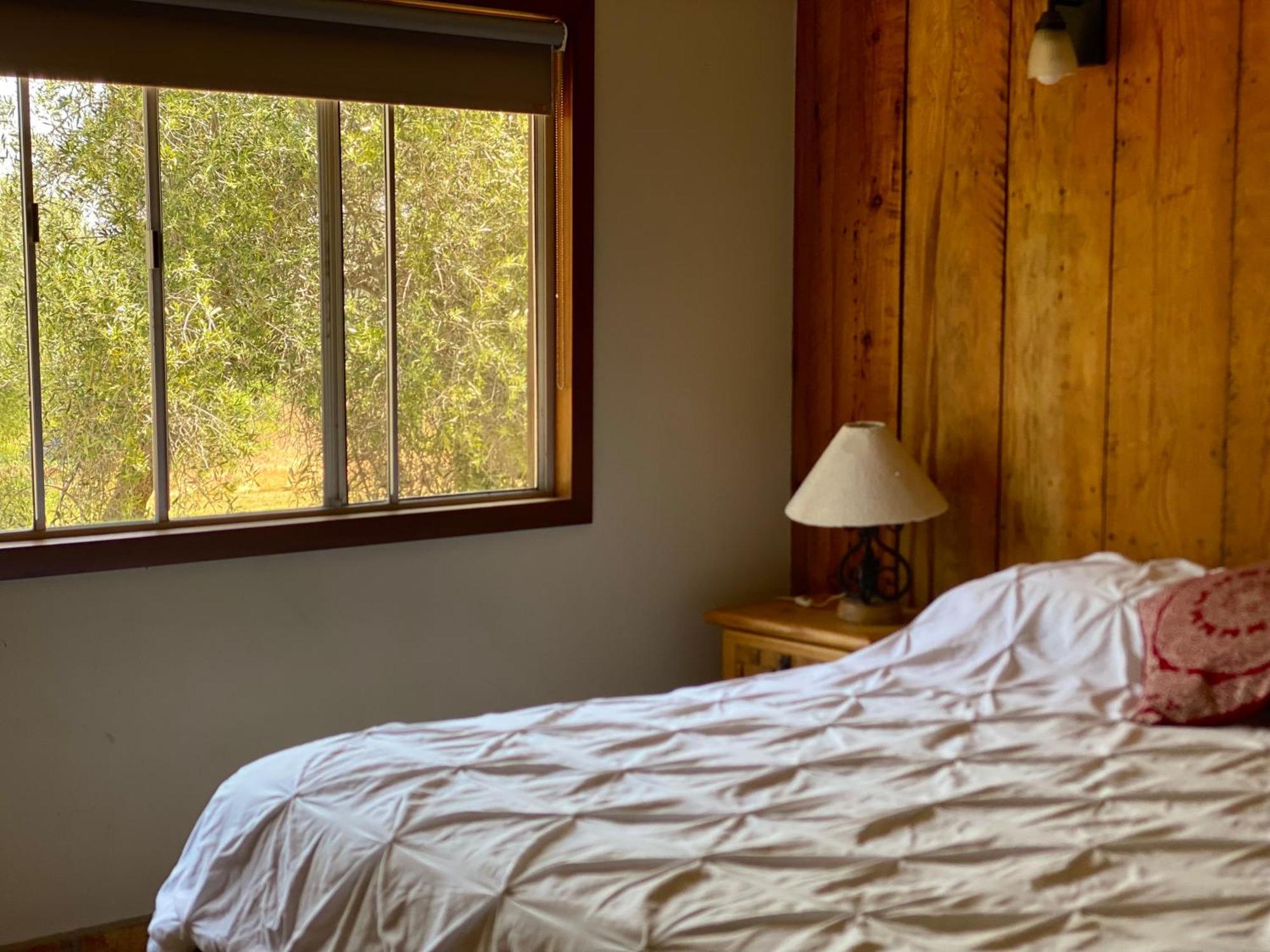 Villa Toros Pintos Valle de Guadalupe Habitación foto
