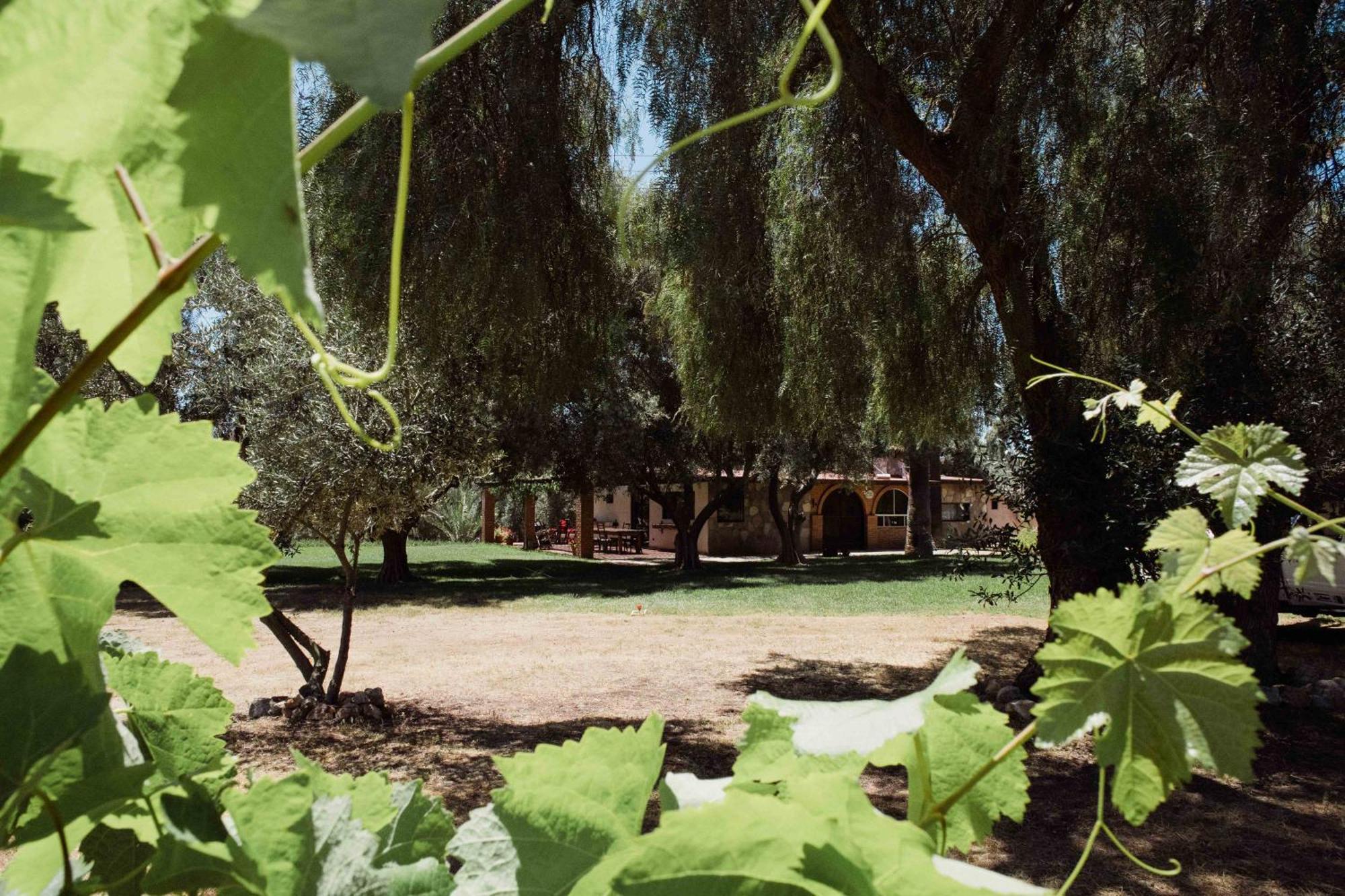 Villa Toros Pintos Valle de Guadalupe Habitación foto